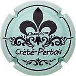 CRETE-PERTOIS_Ndeg17a_Vert_pale_et_noir.JPG