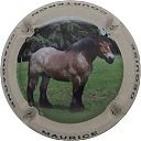 Nom du fichier=DEGUISE_MAURICE_NR-1_Cheval_marron.JPG
Taille du fichier=29Ko
Dimensions : 400x400
Ajouté le : 29 Mai 2018 DEGUISE_MAURICE_NR-1_Cheval_marron.JPG