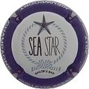 GUILLETTE-BREST_Ndeg50a_Sea_Star2C_contour_bleu.JPG