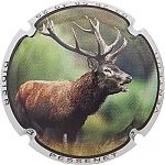 Nom du fichier=PESSENET_DIDIER_NR-02_Cerf.JPG
Taille du fichier=43Ko
Dimensions : 400x400
Ajouté le : 11 Juin 2021 PESSENET_DIDIER_NR-02_Cerf.JPG