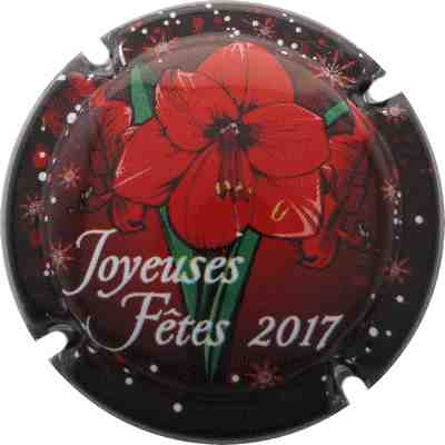 N°0959c Joyeuses Fàªtes 2017
Photo René COSSEMENT
