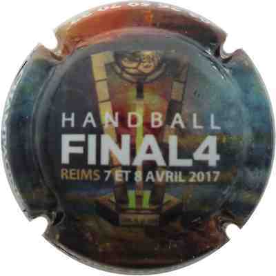 N°038 HAND BALL Finale du 7 et 8 avril 2017 à  Reims
Photo FVQ
