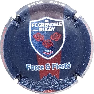 N°232x-NR FC Grenoble 2015-2016 - Force et Fierté
Photo Erick GUYAT
Mots-clés: NR