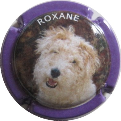 N°08 Chien Roxane, contour violet
Photo BERTON
