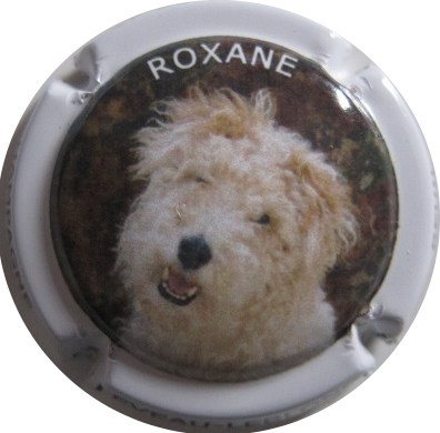 N°08 Chien Roxane, contour blanc
Photo BERTON
