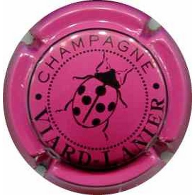 N°14b Framboise et noir
Photo Michel GUILLORIT
