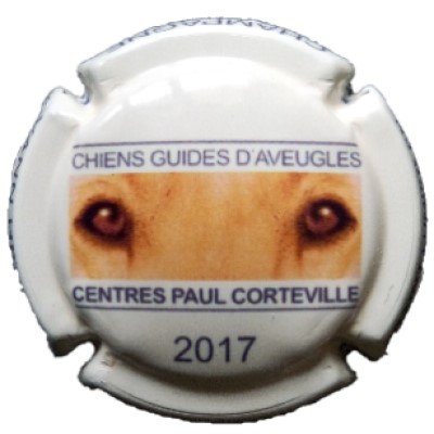 N°08 CHIENS GUIDES D'AVEUGLES-CENTRE PAUL CORTEVILLE-2017
Photo Denise DAHLEM
